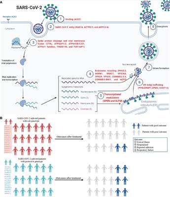 The Potential Mechanism of Cancer Patients Appearing More Vulnerable to SARS-CoV-2 and Poor Outcomes: A Pan-Cancer Bioinformatics Analysis